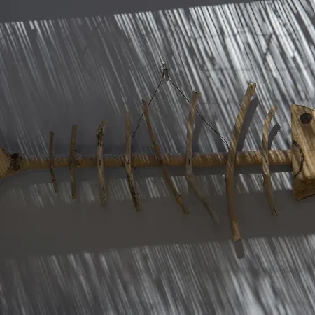 Serapo Alojamento de Acomodação e Pequeno-almoço